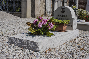 fleurs dans un cimetiere